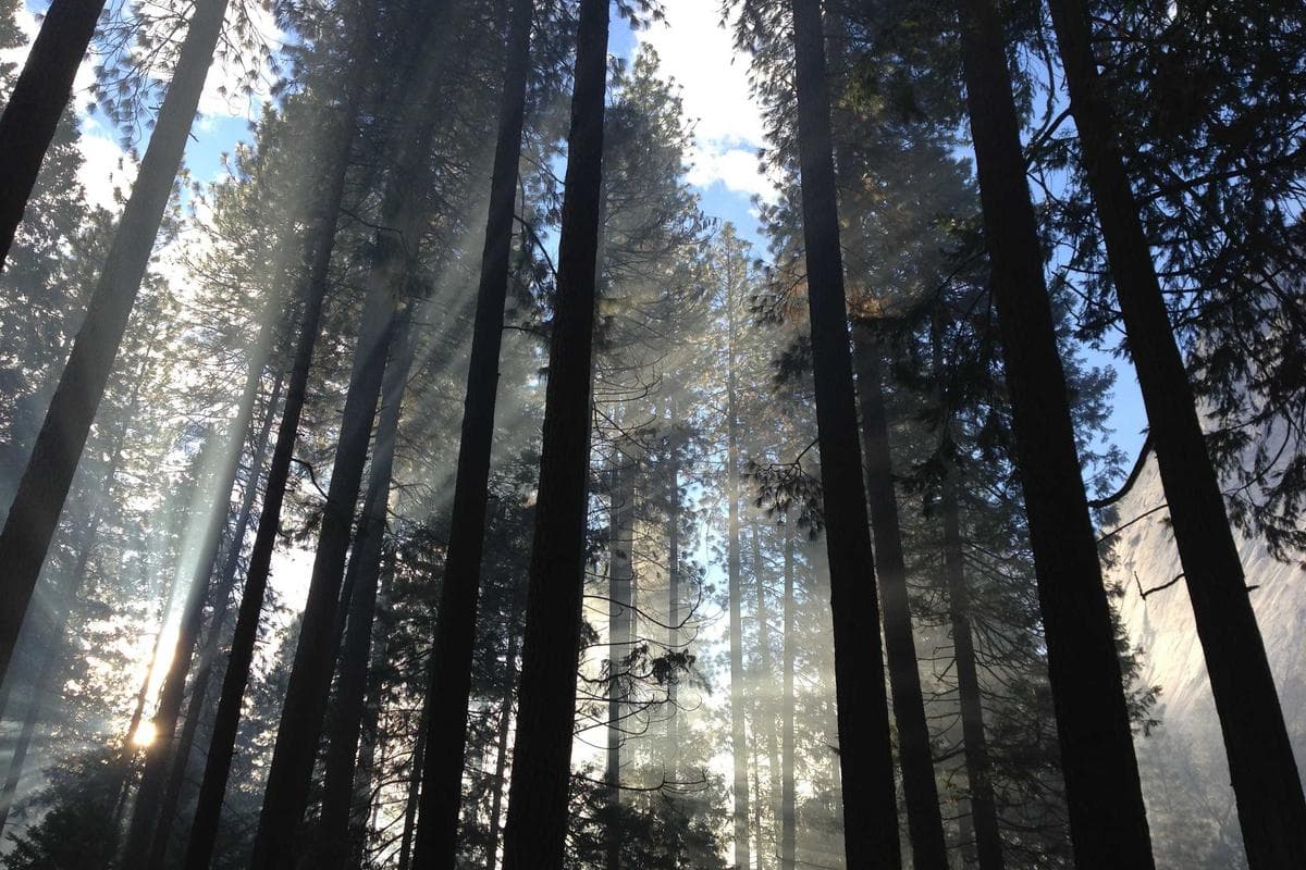 Sorriso Perfeito Blumenau